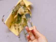 プリモ(Primo)/お土産