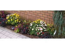 ほぐし処 癒よし/花壇には季節のお花がお出迎え。