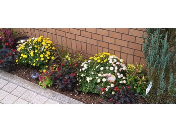 ほぐし処 癒よし/花壇には季節のお花がお出迎え。