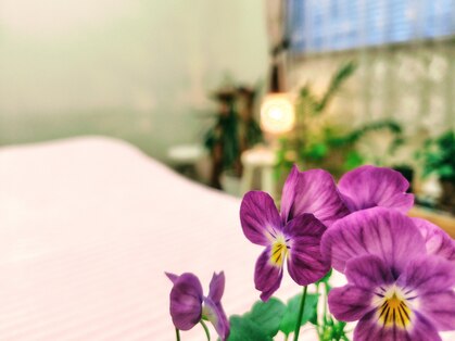 ほぐしサロン 天使の梯子の写真