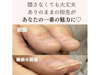 ポノポ(ponopo)の写真