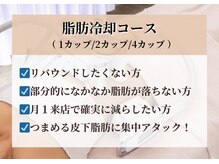 フラットベリー 恵比寿(Flat BELLY)/脂肪冷却コース