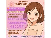 ブロッサム(BLOSSOM)