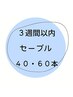 【3週間以内ご来店 】リピーター様優待価格【セーブル】40・60本