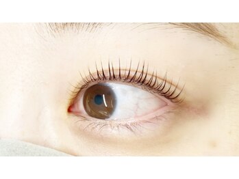 クレー(Klee)/パリジェンヌラッシュリフト