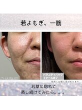 灯/期間限 定若よもぎ モニター価格