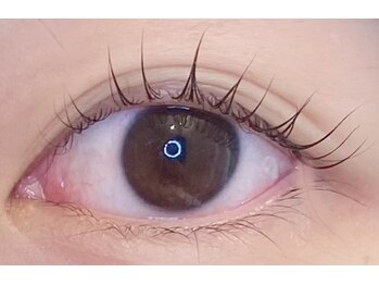 アイラッシュプラン メル 高槻JR駅前店(eyelash plan Mel)/韓国アイドル風まつ毛パーマ