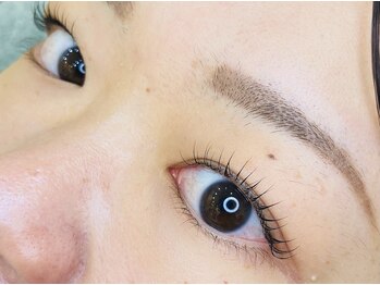 プルメリア(Plumeria)/