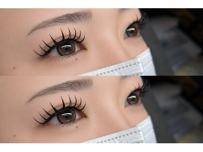 レイビス(RAVIS)の写真