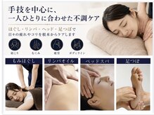 モミ(MOMI)