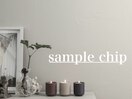 sample chip