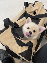 マリネ(marine)&nbsp;田中 空