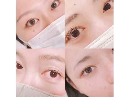 フィオリッチ(FIORICH)の写真