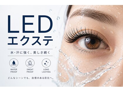 セレビアイ 青葉台店の写真