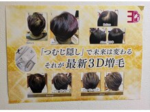 アトリエ ルセップ(LE CEP)/３Dヘアーエクステ