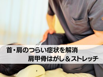 ねこのせなか/多彩な手技でアプローチ/整体