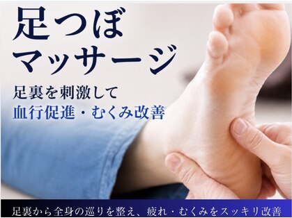 モミ(MOMI)の写真