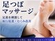 モミ(MOMI)の写真