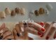 オルロ(orlo)の写真