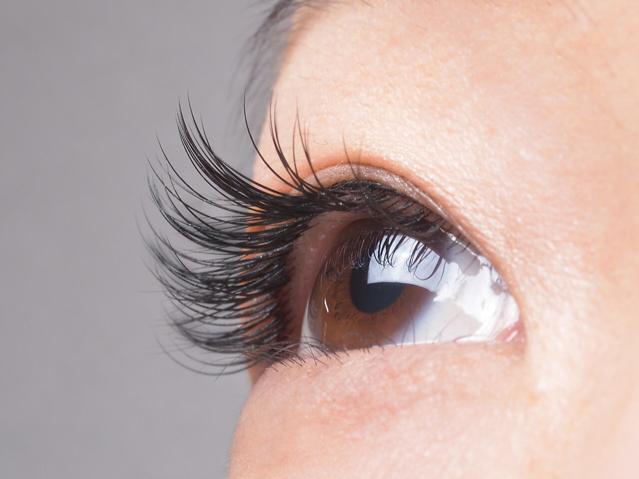 アイラッシュ リンク(eyelash Link)｜ホットペッパービューティー