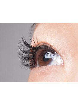 初めての方にオススメ