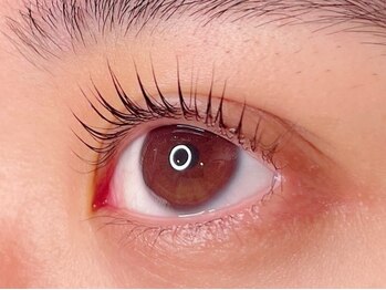 ラシク ベル(Lashiku Belle)/ぱっちりパリジェンヌラッシュ