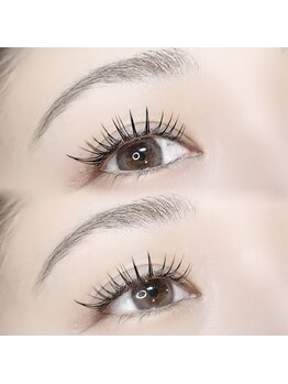 ハリス(HARIS)/フラットラッシュ140本