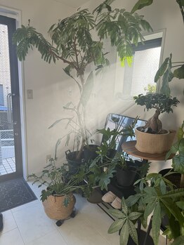 パームココ(palmcoco)/自然光が差し込むサロン♪