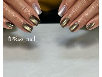 アオネイル(青桜 ao_nail_)/《人気No.1》マグネットネイル