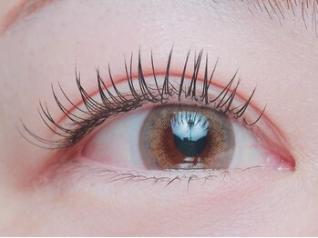 ベルル(Bellulu)の写真/《人気No,1》LEDフラットラッシュ120本（自然な濃さ）モチの良さが大人気♪