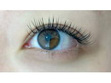 ペルシャ(Persian)/フラットラッシュ[若葉/鶴ヶ島]