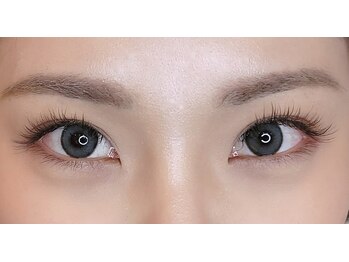 ルピナス(Lupinus)/フラットラッシュ160本＊