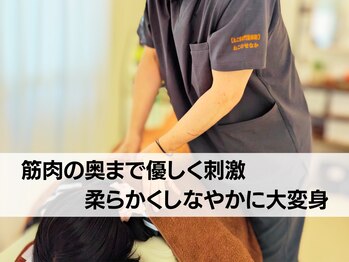 ねこのせなか/深部の筋肉まで揉みほぐし/整体