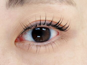 ウィキラ(WIKIRA)/まつげパーマ上下