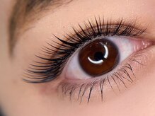 BELINDA秦野マツエク/LED/まつげパーマ/アイブロウ/フラットラッシュ/マツエク×パ-マ/ 【ボリュームラッシュ】