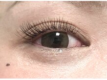 シェア(Share)/フラットダブル80束(太さ0.1)