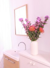 ビオトーン バイ ツリー(biotone by TREE)/パウダースペース