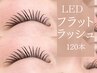【忙しいあなたへ!持ち抜群】フラットラッシュ&LED 120本 10000円→7000円