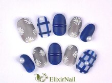 エリクサーネイル 五反田(Elixir Nail)/定額c やり放題／クーポン使用