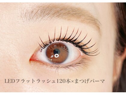 カラー(KOLOR)の写真