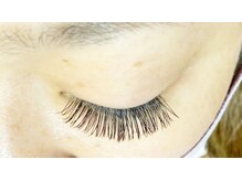 クレー(Klee)/フラットラッシュ