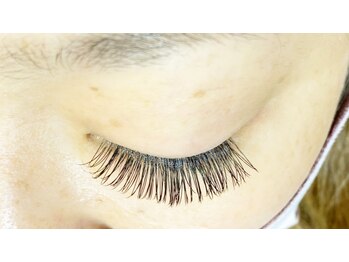 クレー(Klee)/フラットラッシュ