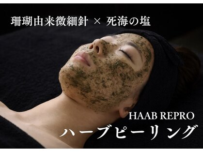 侘寂(wabisabi)の写真