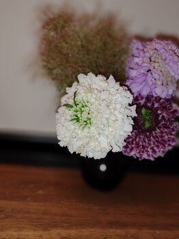ドライヘッドスパ＆頭蓋骨調整　Zen/