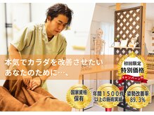 ねこのせなか
