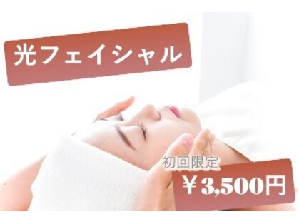 ピュアミントの写真