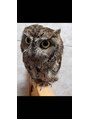 アマナムグリーン(Amanam green)&nbsp;フクロウも飼ってました!
