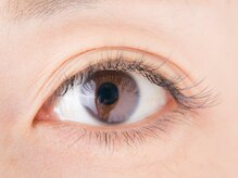 ダリア(DAHLIA)/ボリュームラッシュ