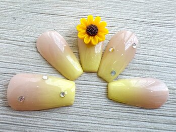 ミッシュネイル(mish nail)/定額ジェルン2026【7-9月】