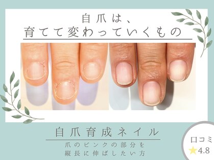 ニコプラス(NICO+)の写真